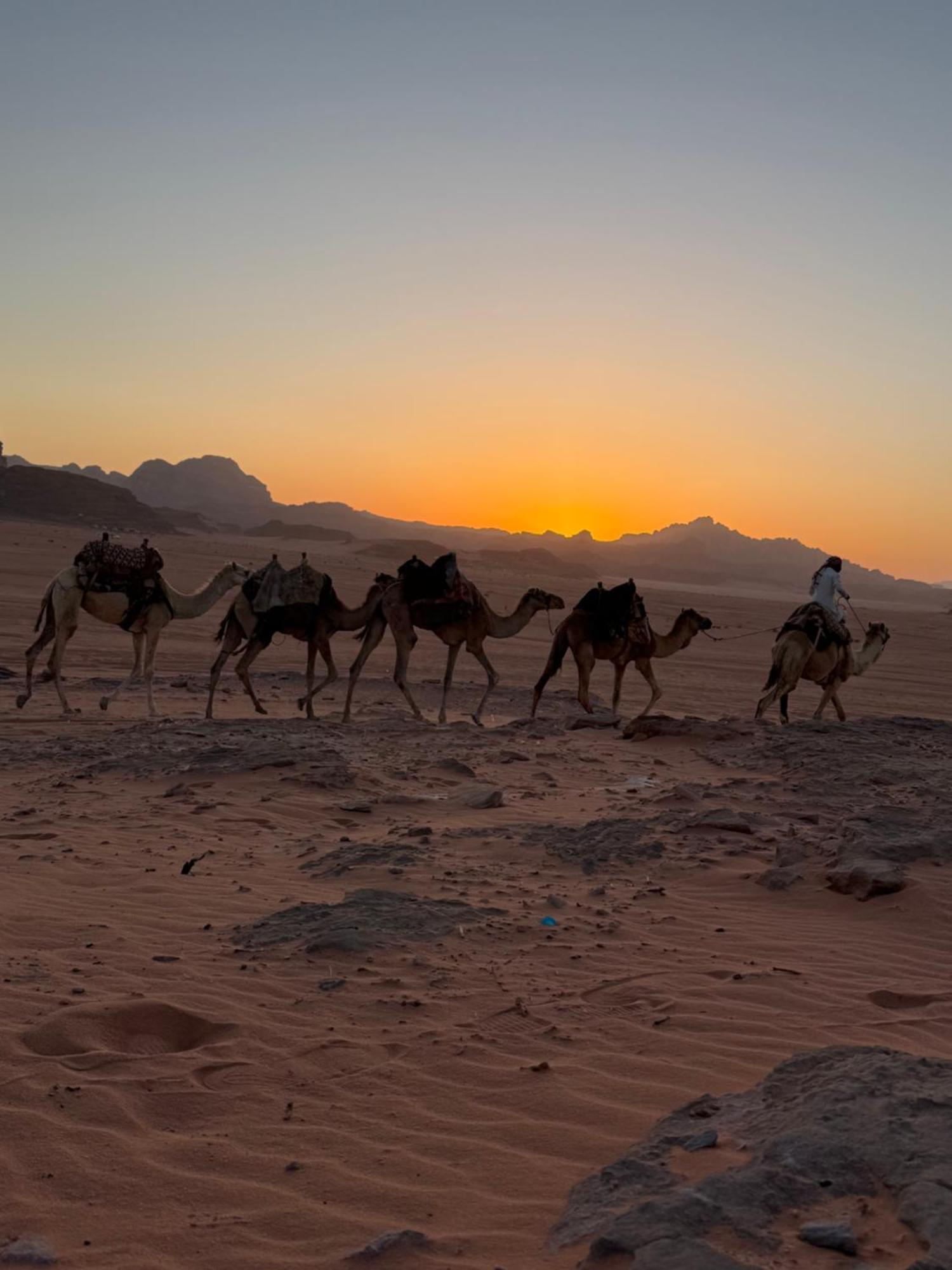 Faisal Wadi Rum Camp Dış mekan fotoğraf